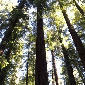 Meet your Posher, Mandy